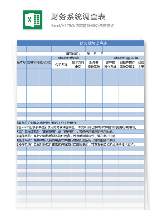 财务系统调查表excel模板