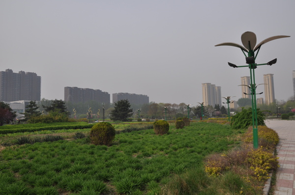 植物园高碑店图片