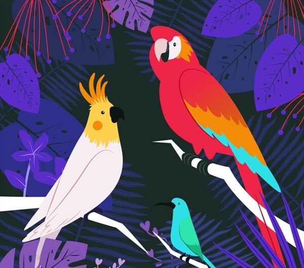 彩色热带树林鸟类图片