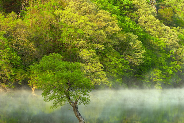 风景画图片