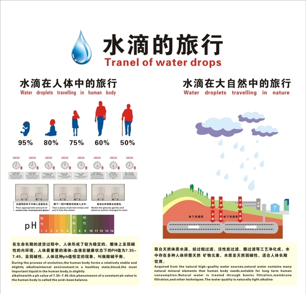 水滴在人体中的旅行