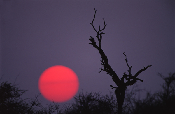 彩霞夕阳天空火烧云云彩云海云朵云大自然广告素材大辞典