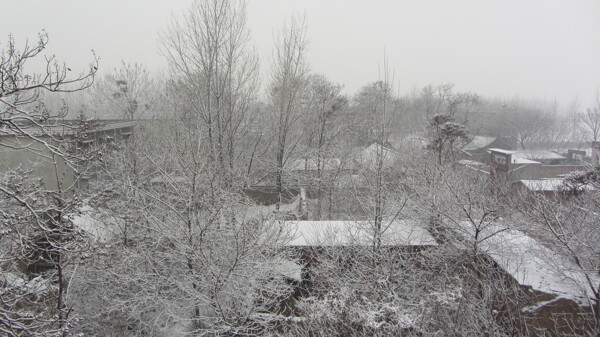 雪景图片