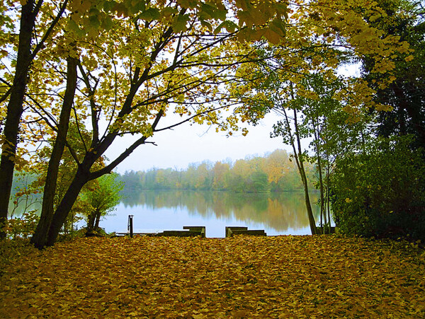 唯美秋天湖边风景图片