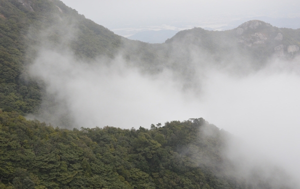 罗浮山云雾山图片