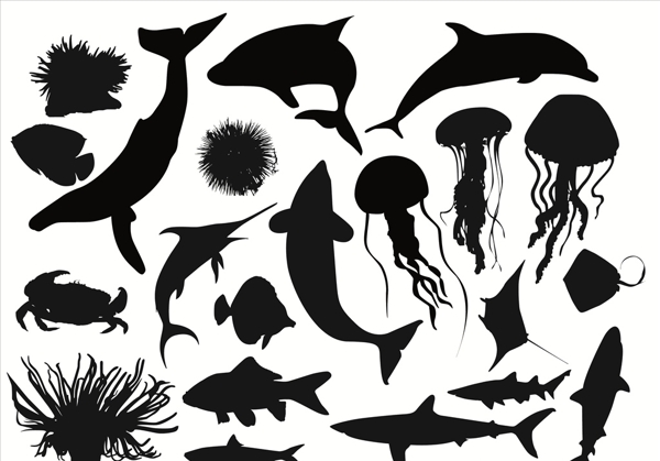 鱼类海洋生物剪影
