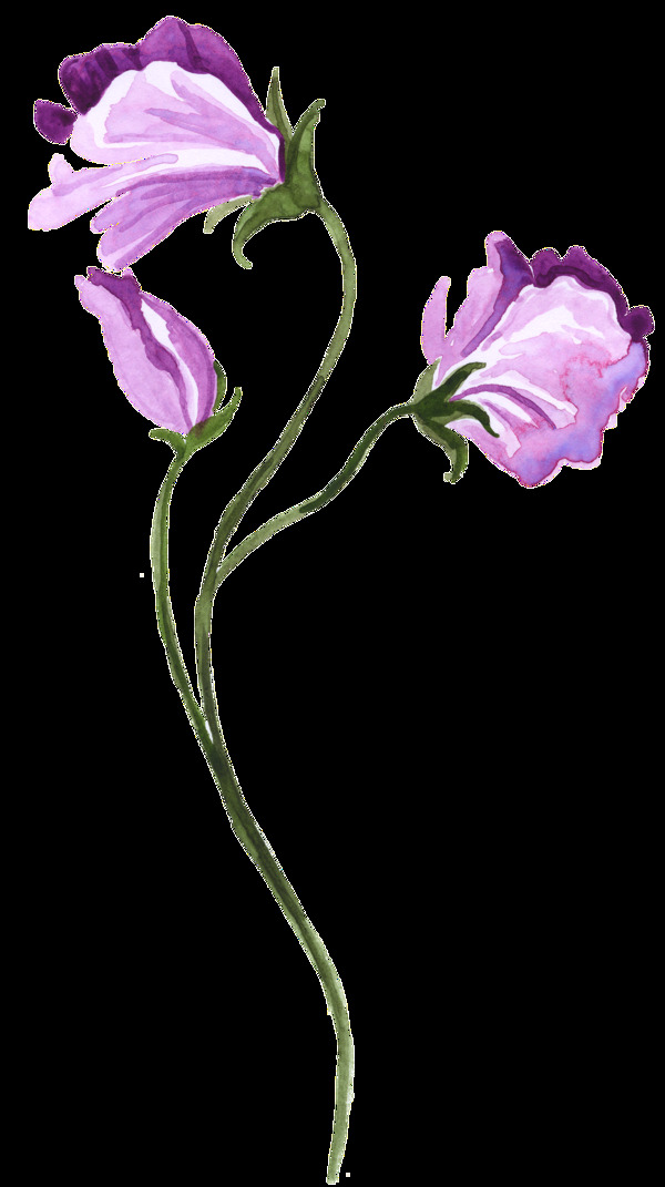 水彩手绘紫色花卉透明装饰素材