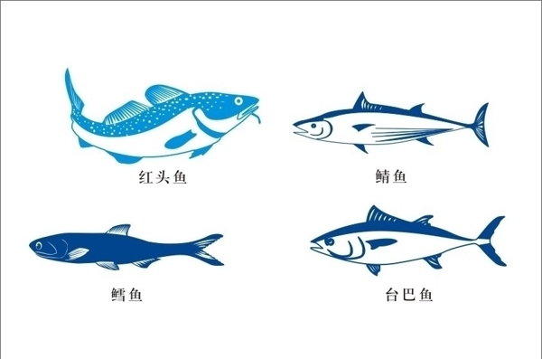 鱼矢量图图片