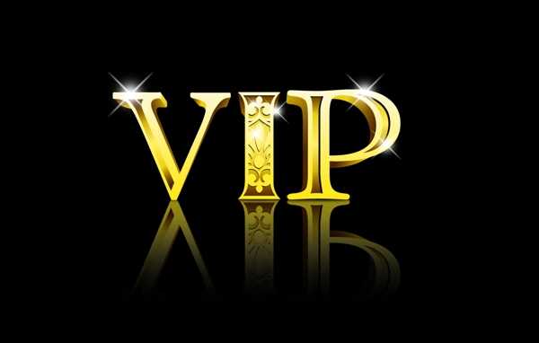 华丽vip会员logo