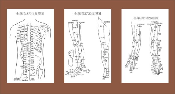 体穴针灸经络图的身材