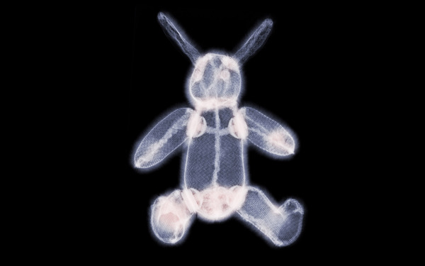 玩具熊的x光透视图片