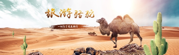 骆驼旅游宣传banner设计