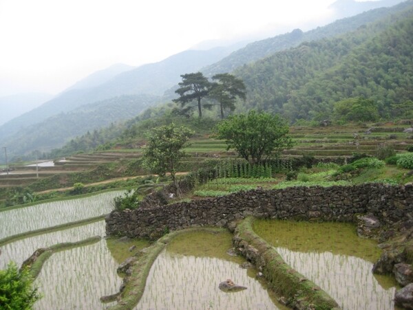 家乡风景