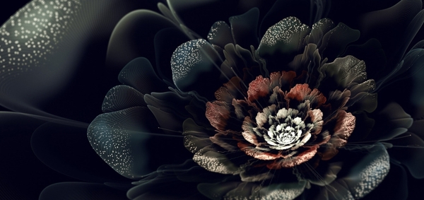 黑色花朵艺术