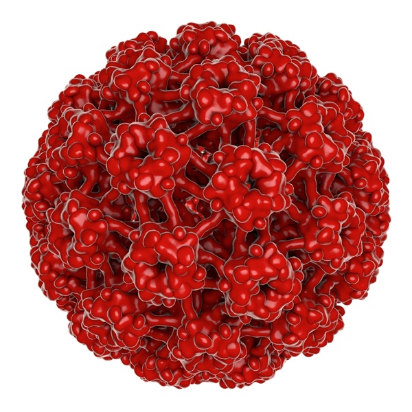 红色的癌细胞球形病毒图片
