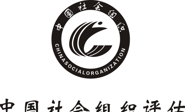 中国社会组织