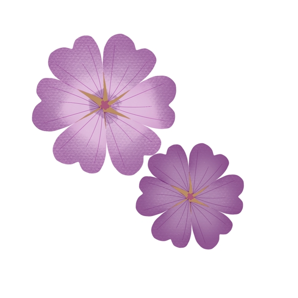 美丽的紫色小花朵