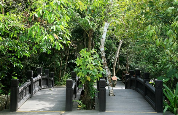 梦幻谷双桥入口图片