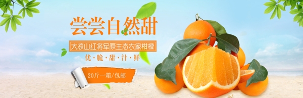 橙子广告海报