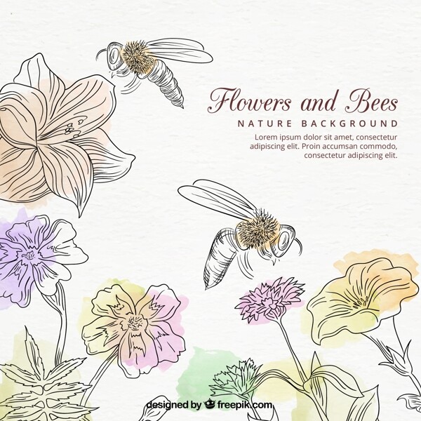 手绘蜜蜂和水彩花卉背景
