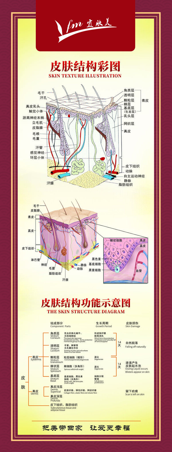 宜肤美皮肤