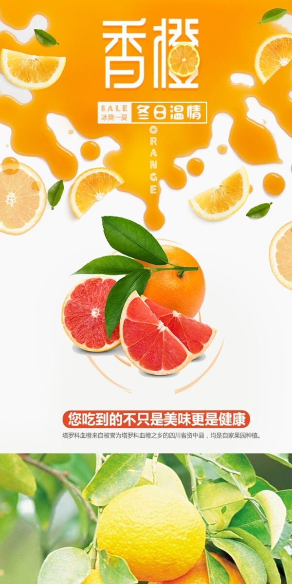 橙子鲜橙水果生鲜食品详情页PSD模板