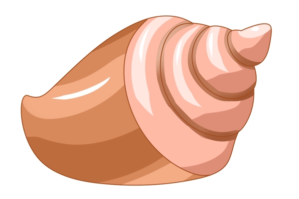棕色图案海螺