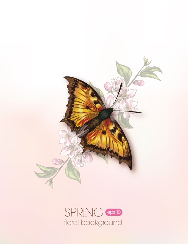 花卉矢量插画与樱桃树枝和蝴蝶