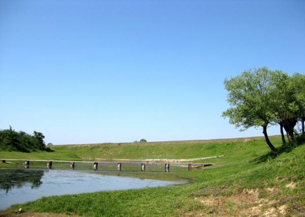 河坝小桥流水初夏自然风景图片