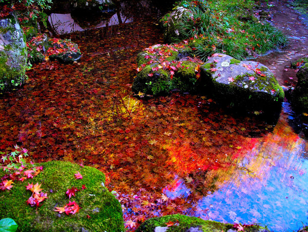 花海