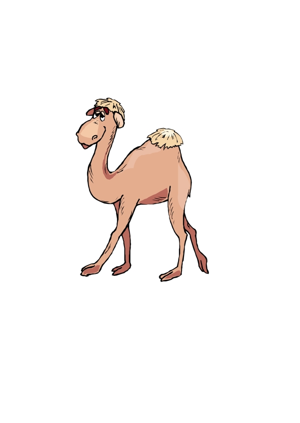 骆驼9向量