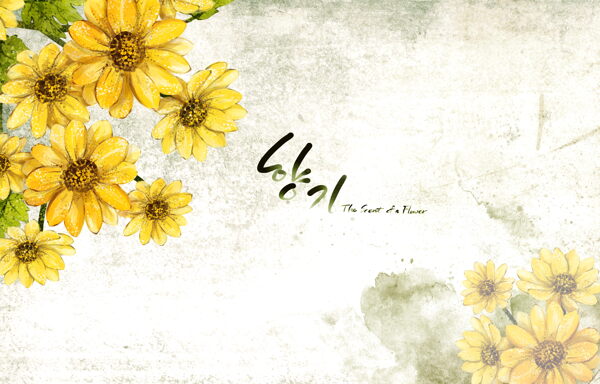 明亮黄色韩国花朵背景