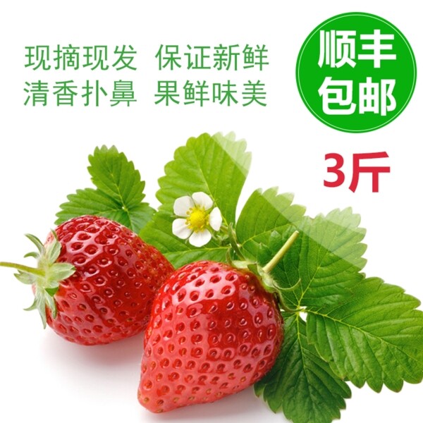 冬季草莓大促销主图