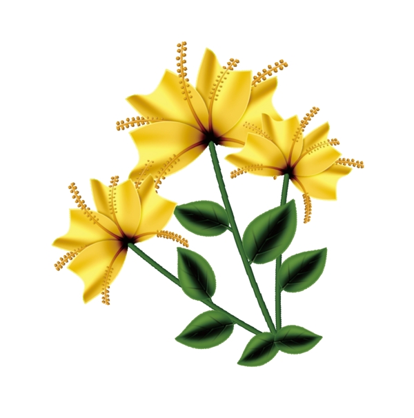 黄色花儿