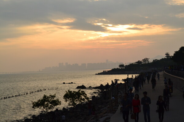 深圳湾公园海边风景图片