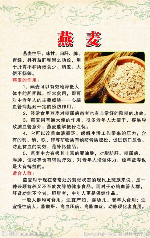 燕麦的食疗作用图片