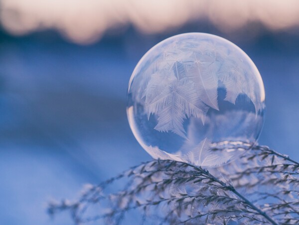 冬天冬季气泡树枝背景图片