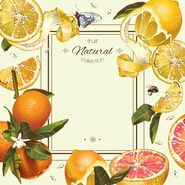 水彩手绘橙子柠檬蜂蜜矢量背景素材