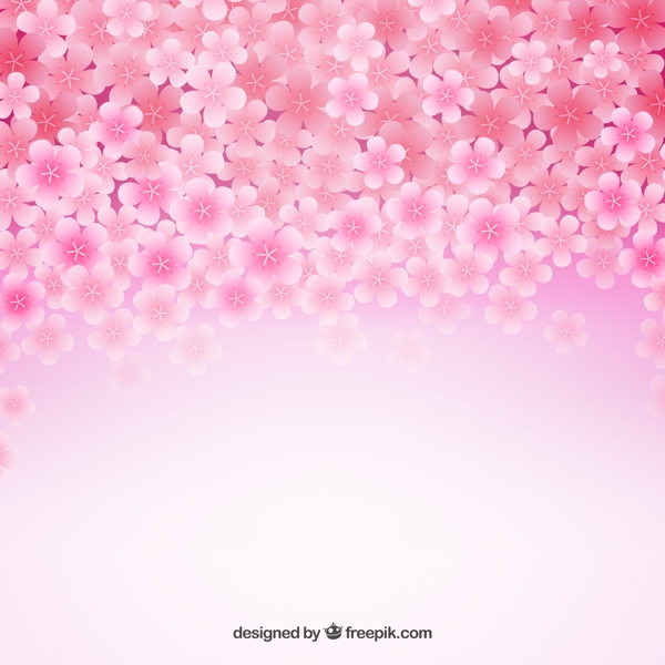 粉色樱花花朵背景
