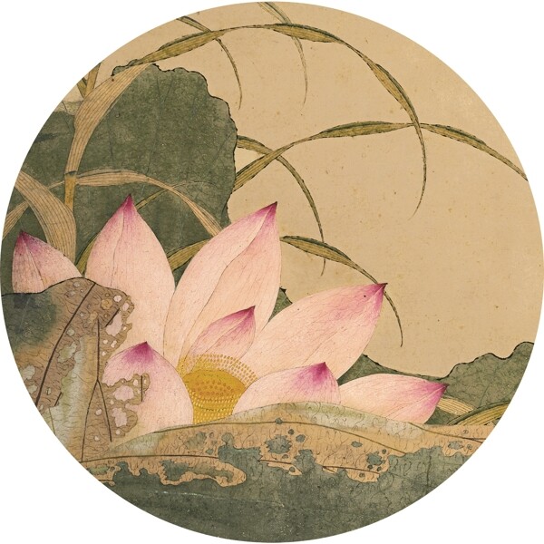 中式水墨荷花图装饰画