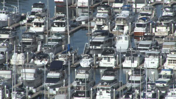 圣迭戈港码头的船游艇股票视频视频免费下载