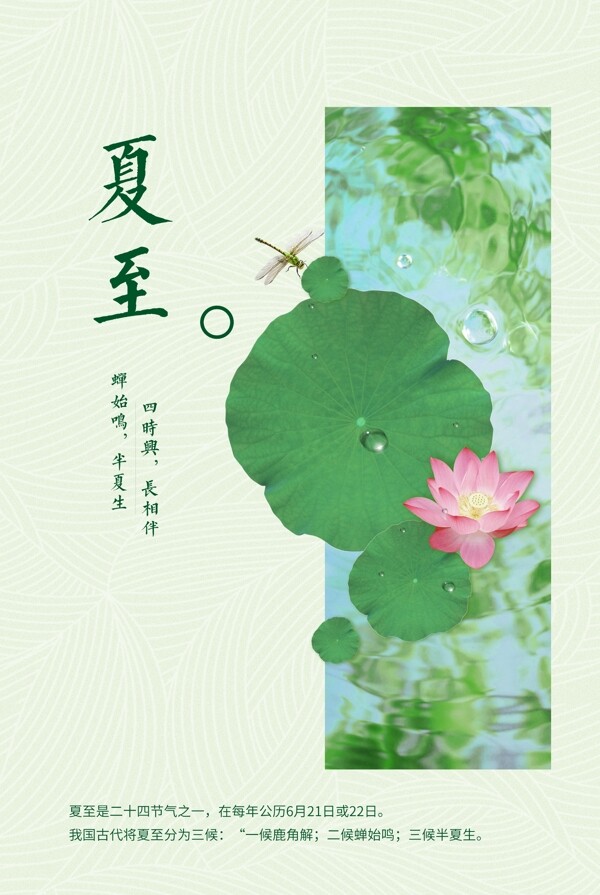 中国风24节气夏至清新绿色荷花海报