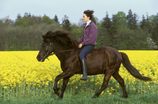 田间骑马的女孩图片