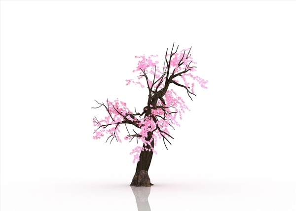 桃花树桃花装饰画3D立体图图片