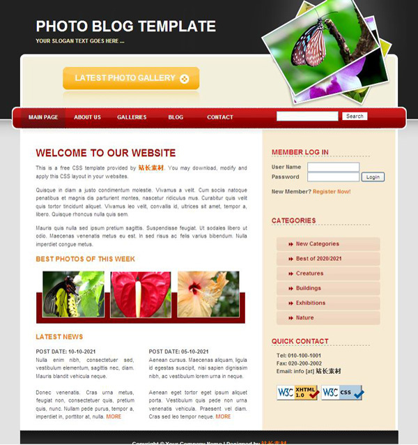 摄影博客CSS网页模板