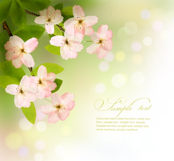 清新春季花卉背景图片