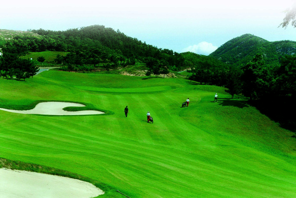 高尔夫球场半岛风光绿植园林大海岛图片