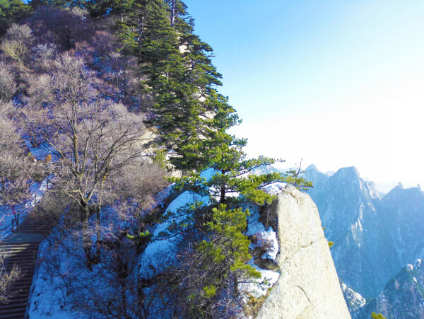 华山南峰