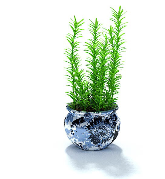 精致瓷盆绿植盆景3d模型
