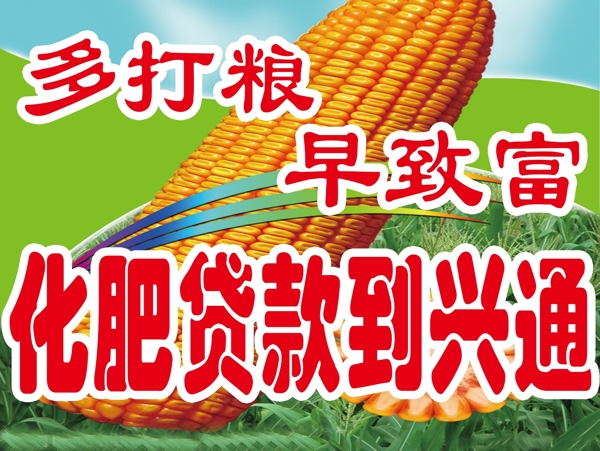 玉米化肥PSD